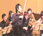 violin competition 2007